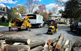 Rupert, WV Tree Services Company